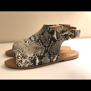 Qupid Women’s Snake Gladiator Sandals